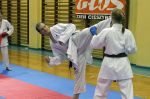 7 Międzynarodowe Seminarium Karate